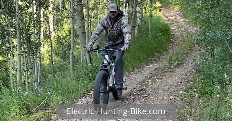 Bakcou Storm E-Bike Review