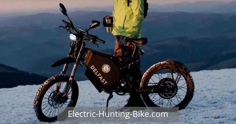 Delfast Top 3.0 Electric Bike