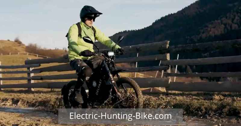 Delfast Top 3.0 Electric Dirt Bike for Hunting Review Of Tires