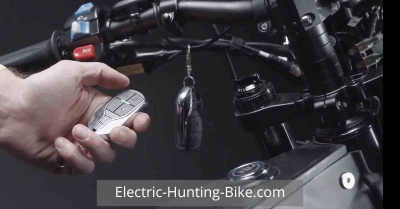 Electric Bike Delfast Top 3.0 Theft Protection