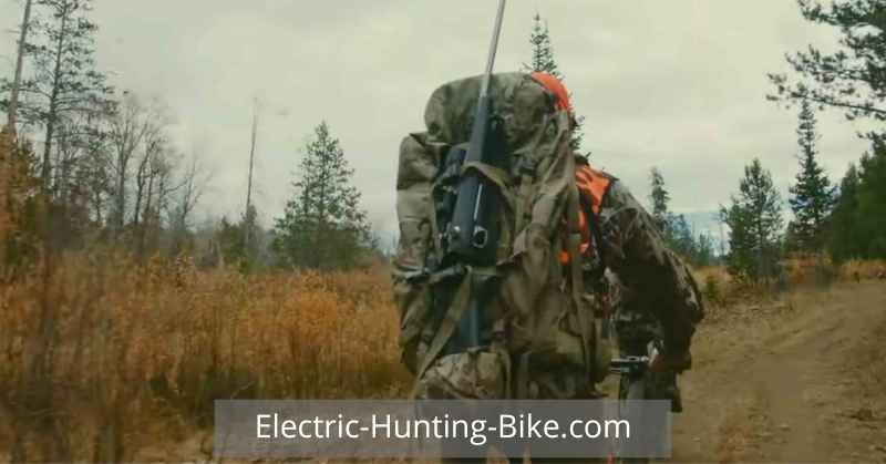 Electric Dirt Bike For Hunting Review Of Manageability