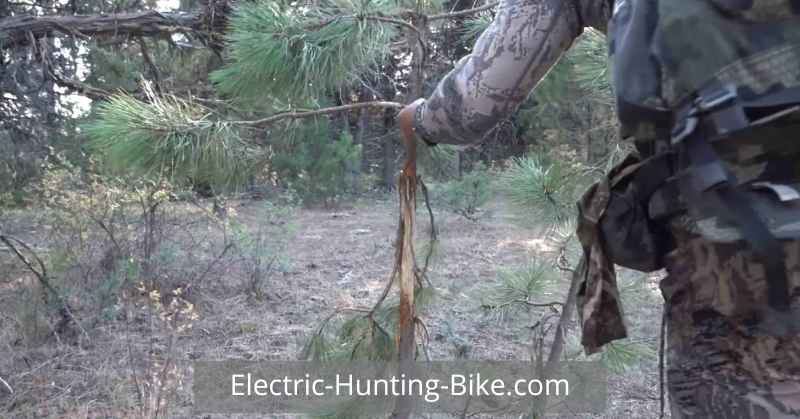 Electric Dirt Bike for Hunting Reviews