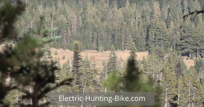 electric dirt bike for hunting