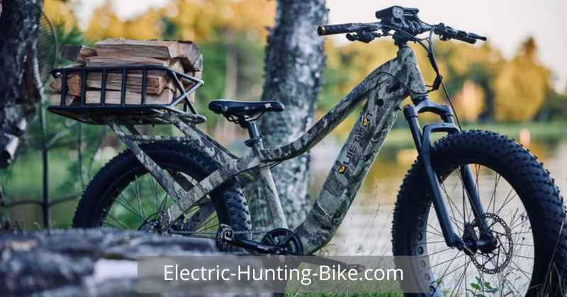 Quietkat Ranger 750 Fat Tire Electric Mountain Bike Review