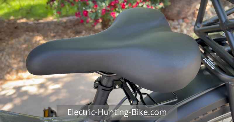 RadRover 6 Plus Step-Thru Fat Tire Electric Bike Review