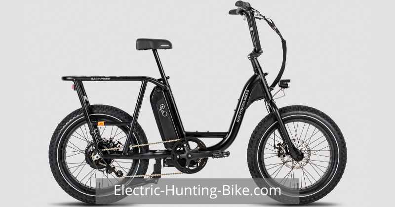 RadRunner 2 Electric Utility Bike Review