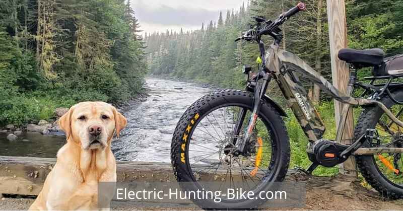 Best Electric Bike For Hunting Fishing Camping