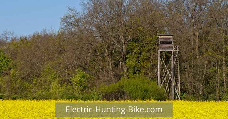 Best Electric Bike For Different Hunting Styles