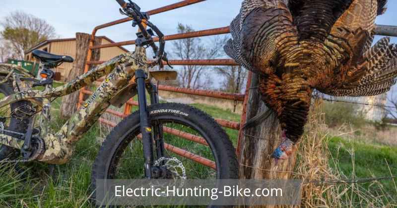 Best Electric Hunting Bike For Hunting Success