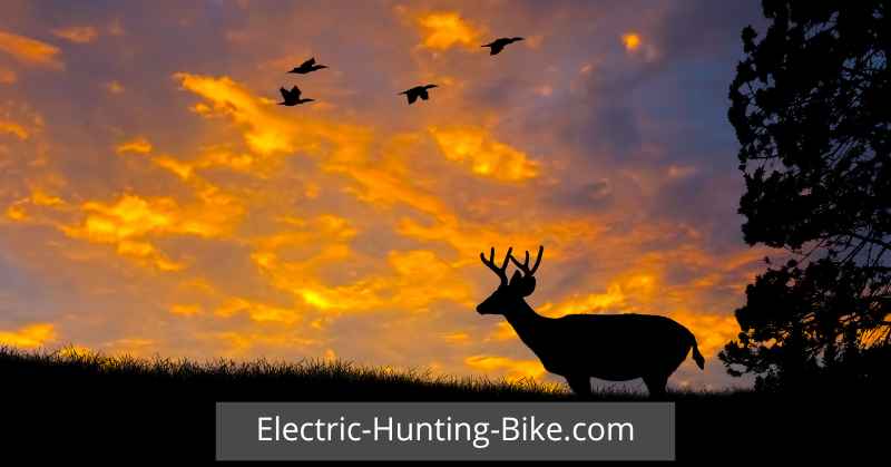 Best Electric Hunting Bike Review Conclusion