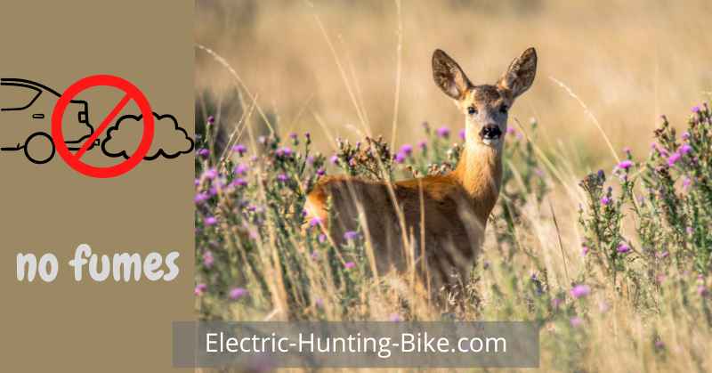 Best Fat Tire Electric Bike For Hunting Without Fumes