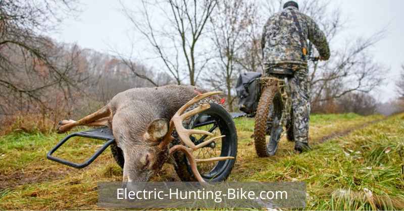 Haul Out Your Hunt In ONE Trip With The Best Hunting Electric Bikes