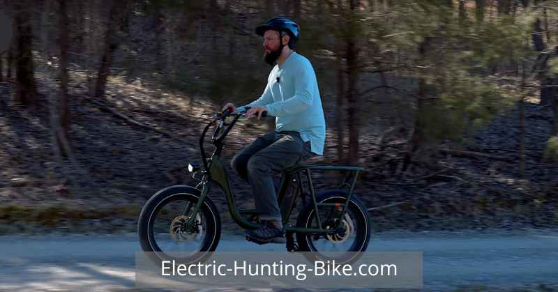 RadRunner 2 Electric Bike Review Of Suspension