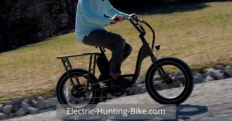 RadRunner 2 Electric Utility Bike Review