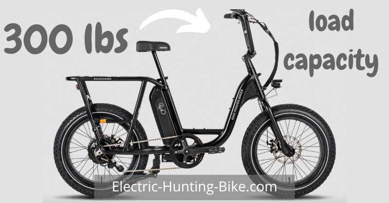 RadRunner 2 Electric Utility Bike Review Of Load Capacity