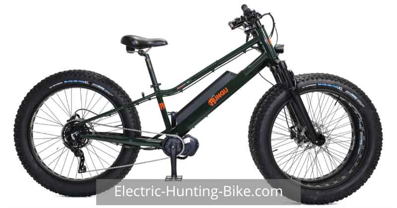 Rungu Dualie Standard Electric Hunting Bike Review