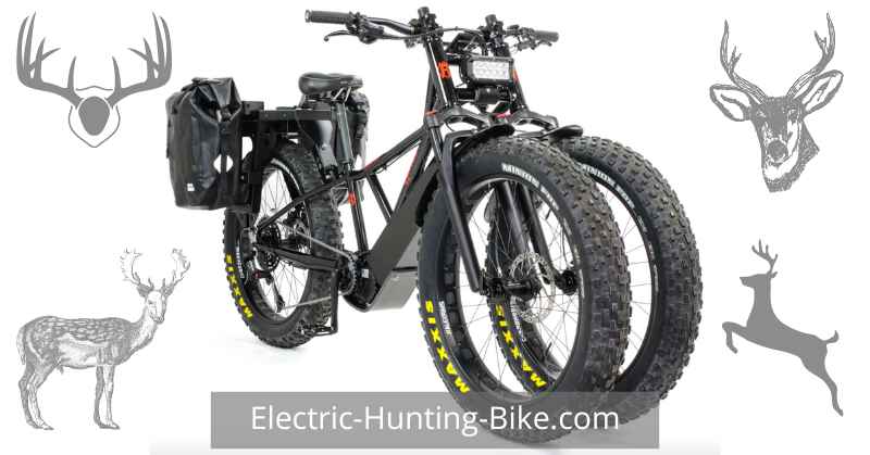 Rungu Dualie XR Rubicon Electric Bike Review