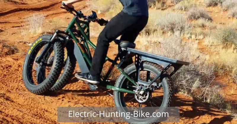 Rungu Dualie XR Rubicon Electric Hunting Bike Review