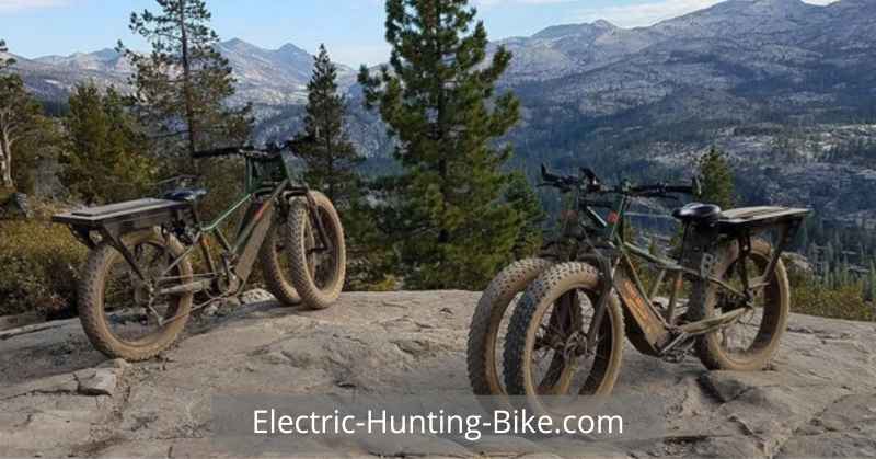 Rungu Dualie XR Rubicon Trail Edition Review