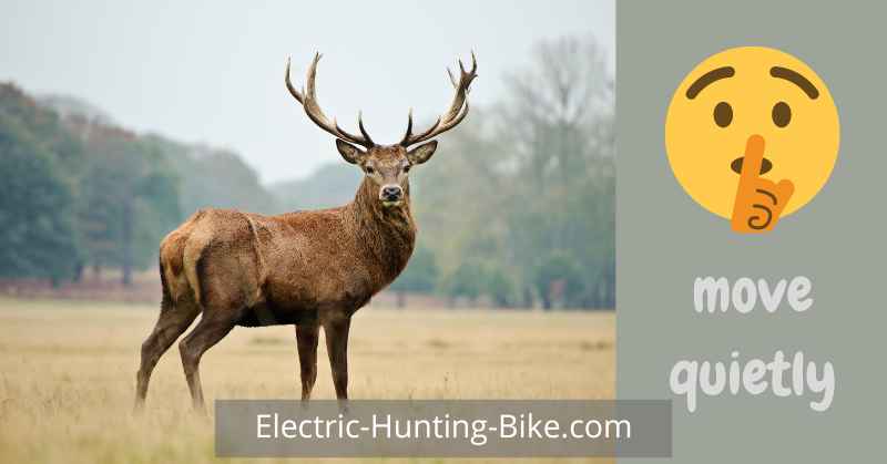 The Best Electric Bike For Hunting Quietly